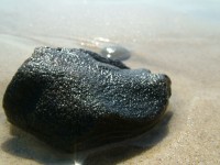 /album/nesian-photography1/nesian-picture-19-copy-jpg/